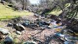 0 Blacks Creek Road - Photo 23