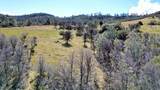0 Blacks Creek Road - Photo 34