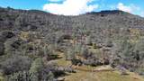 0 Blacks Creek Road - Photo 39
