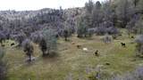 0 Blacks Creek Road - Photo 41