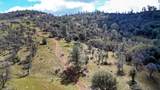 0 Blacks Creek Road - Photo 49