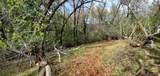 3 Acres - Photo 16