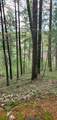 3 Acres - Photo 27