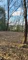 3 Acres - Photo 7
