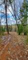 3 Acres - Photo 9