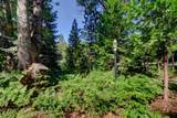 13383 Bass Trail - Photo 58