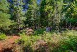 13383 Bass Trail - Photo 68