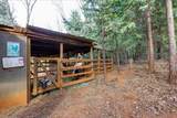 13383 Bass Trail - Photo 71