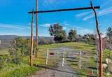 10263 Ham Luddy Road - Photo 1