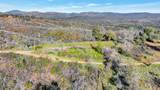 10263 Ham Luddy Road - Photo 20
