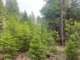 8180 Wild Horse Trail - Photo 7