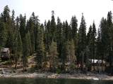 822 Mile High Road - Photo 2