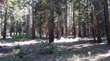 14961 Robbins Ranch Road - Photo 11