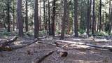 14961 Robbins Ranch Road - Photo 3