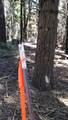 14961 Robbins Ranch Road - Photo 8