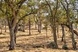 0 Ranch Road - Photo 29