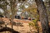 0 Ranch Road - Photo 8