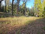 125 Pinewood Way - Photo 5