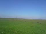 29939 Highway 4 - Photo 4