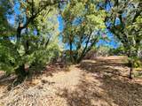 20335 Montana Lane - Photo 19