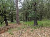 1 Eden Forest Drive - Photo 14