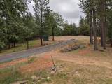 1 Eden Forest Drive - Photo 15