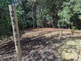 25492 Meadow Drive - Photo 6