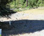 27200 Dew Drop Road - Photo 16