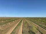 30435 Co Rd 25 Road - Photo 8
