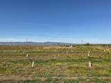 30435 Co Rd 25 Road - Photo 9
