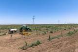 30435 Co Rd 25 Road - Photo 15