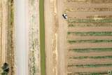 30435 Co Rd 25 Road - Photo 16