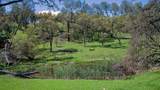 0 Hogan Dam Road - Photo 22