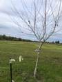 0 Elkhorn Boulevard - Photo 18