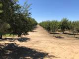 22202 Van Allen Road - Photo 12