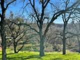2210 Grouse Drive - Photo 9