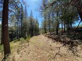 5063 Moore Road - Photo 12