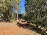 5063 Moore Road - Photo 14