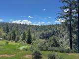 5063 Moore Road - Photo 4