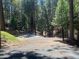 5693 Lupin Lane - Photo 1