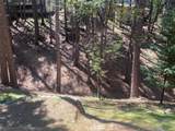 5693 Lupin Lane - Photo 10