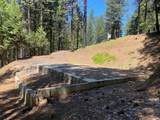 5693 Lupin Lane - Photo 11