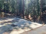 5693 Lupin Lane - Photo 12