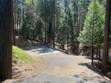 5693 Lupin Lane - Photo 2
