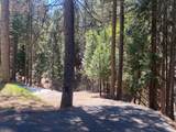 5693 Lupin Lane - Photo 3