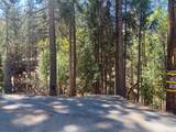5693 Lupin Lane - Photo 4