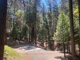 5693 Lupin Lane - Photo 5