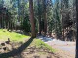 5693 Lupin Lane - Photo 6