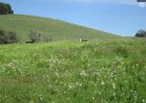 9065 Wise Road - Photo 1