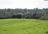 9065 Wise Road - Photo 4